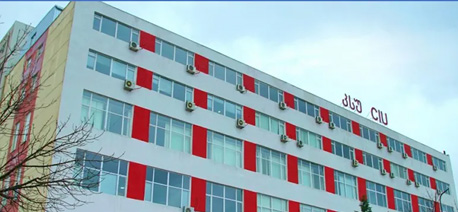 Caucasus International University